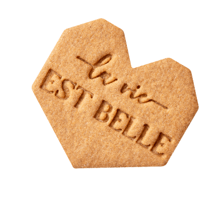 Biscuit la vie est belle 6