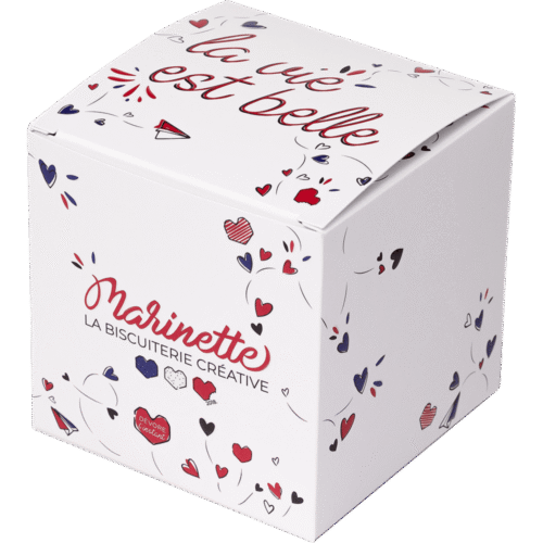 Main visual merci le coffret de 12 biscuits 2