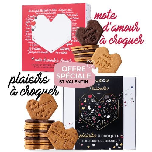 Une paire de biscuits sur le thème du cœur dans le pack d'amour - offre spéciale st valentin est accompagnée de phrases romantiques telles que "mots d'amour à croquer", "biscuit personnalisé" et "plaisirs à croquer", magnifiquement mises en valeur à l'extérieur. leurs cartons.